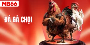 Đá Gà Chọi - Nắm Vững Luật Chơi Để Chinh Phục Mọi Trận Đấu