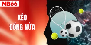 Kèo Đồng Nửa Là Gì? Ví Dụ Dễ Hiểu Về Cách Đọc Chấp 0.25